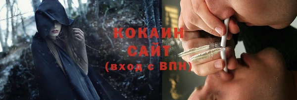 винт Новозыбков