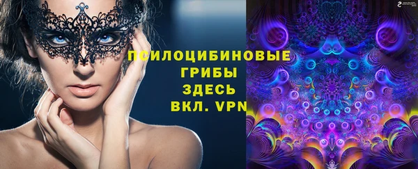винт Новозыбков