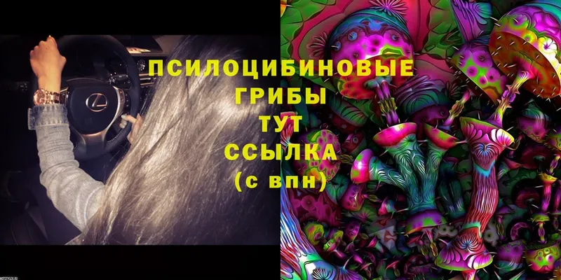 Галлюциногенные грибы Magic Shrooms  Болхов 